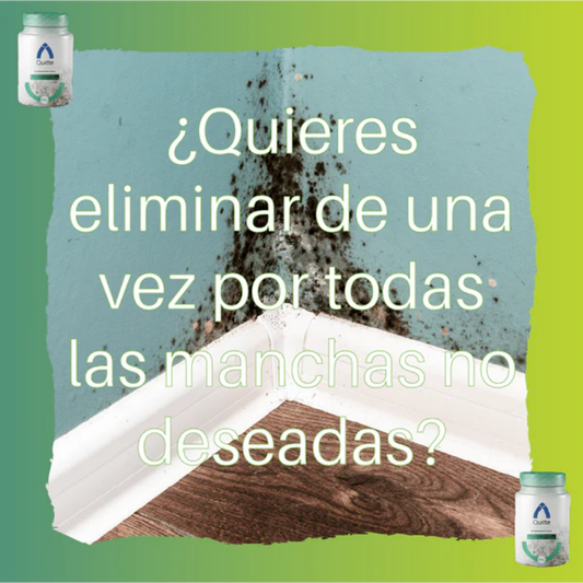 gid://shopify/MediaImage/25388449005686